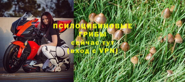 герыч Алзамай
