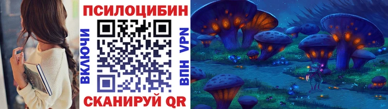 купить Заволжск Галлюциногенные грибы MAGIC MUSHROOMS