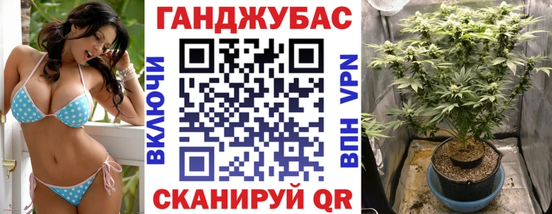 Каннабис OG Kush цены Заволжск